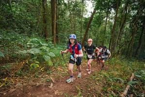 BIB: 
                            <button type="button" onclick="openModal(22468707)" class="btn btn-primary btn-sm float-right btn-popup" data-toggle="modal" data-target=".modal-high-quality">
                        <i class="fas fa-shopping-cart"></i> Add to Cart
                    </button>
                                            <button type="button" onclick="isThisMe(22468707, true)" class="btn btn-success btn-sm float-right btn-popup btn-isme hidden" data-toggle="tooltip" data-placement="bottom" title="นี่คือรูปของคุณใช่ไหม คลิกที่นี่เพื่อเอาเข้าอัลบั้ม">
                        <i class="fas fa-plus"></i> Add to album
                    </button>
                    <button type="button" onclick="isThisMe(22468707, false)" class="btn btn-warning btn-sm float-right btn-popup btn-isnotme hidden">
                        <i class="fas fa-ban"></i> Remove from album
                    </button>